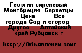 Георгин сиреневый. Монтбреция. Бархатцы.  › Цена ­ 100 - Все города Сад и огород » Другое   . Алтайский край,Рубцовск г.